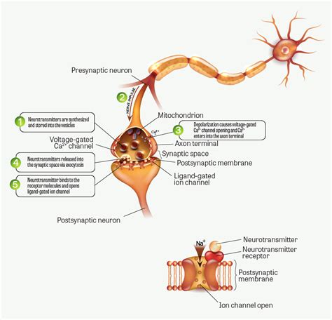 Welcome To ToxTutor Toxicology MSDT