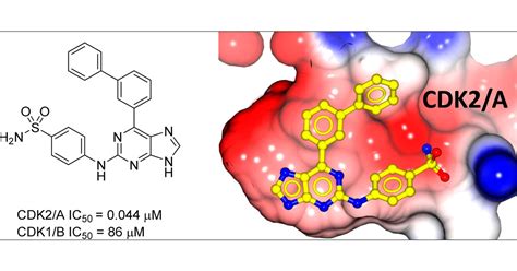 Cyclin Dependent Kinase Cdk Inhibitors Structure Activity Relationships And Insights Into The