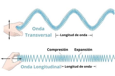 Movimiento ondulatorio características tipos de ondas ejemplos