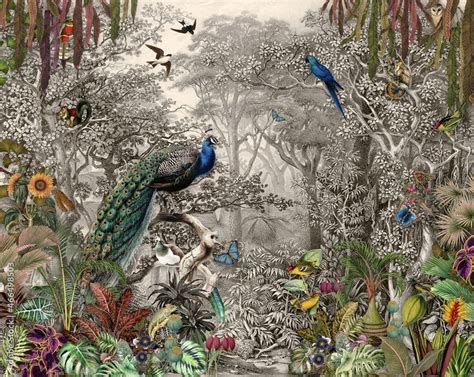 Pin By Guiovanny Gomez On Pisos Vintage Drawing Jungle Wallpaper