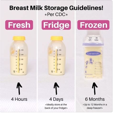 Mommy Knows Best Breast Milk Storage Guidelines Breastmilk Storage