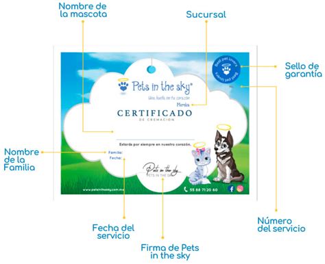 Qu Es Un Certificado De Cremaci N Y C Mo Obtenerlo