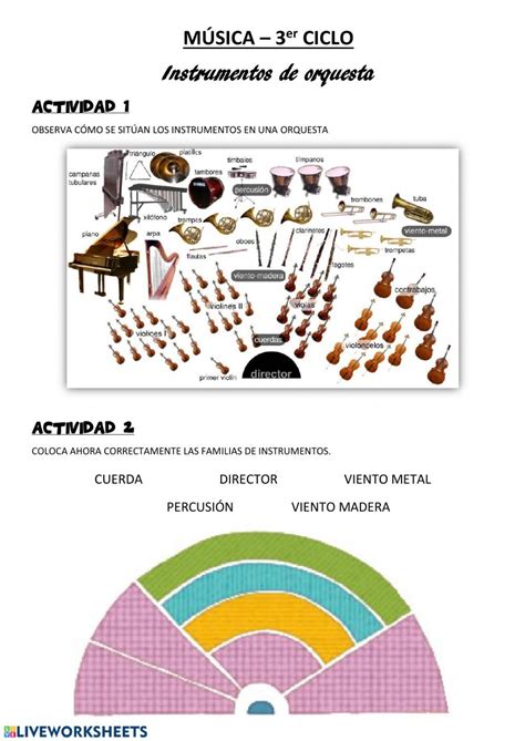 Instrumentos De La Orquesta Activity Musicals Instruments Of The