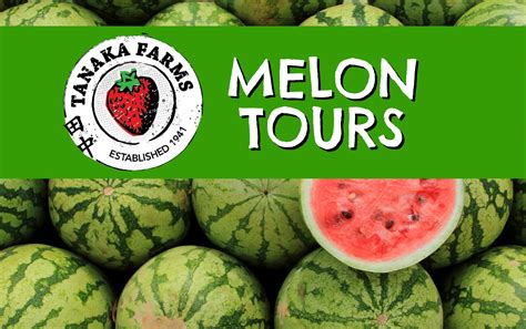 U-Pick Farm Tours — Tanaka Farms