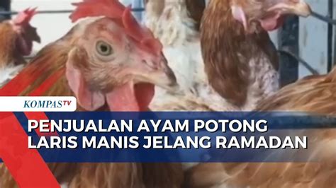 Penjualan Ayam Potong Di Jeneponto Meningkat Drastis Jelang Ramadan