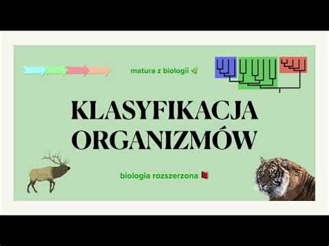 22 Klasyfikacja organizmów taksony rangi matura z biologii