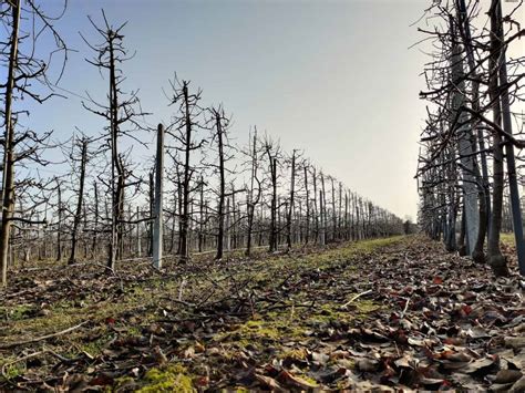 Pierwsza połowa tygodnia słoneczna i bez opadów Od czwartku czekają