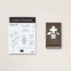 The Flower Of Friendship Bundle By Stampin Up Barb Brimhall The