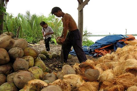 Best And Cheap Mekong Delta Adventure Day