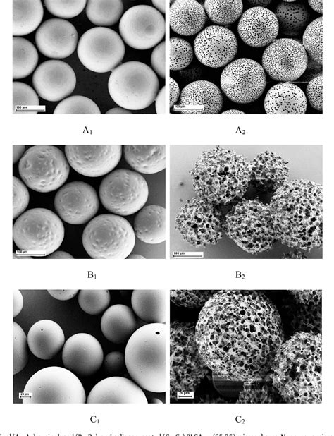 Figure 2 From The Controllable Preparation Of Porous Plga Microspheres By The Oil Water Emulsion