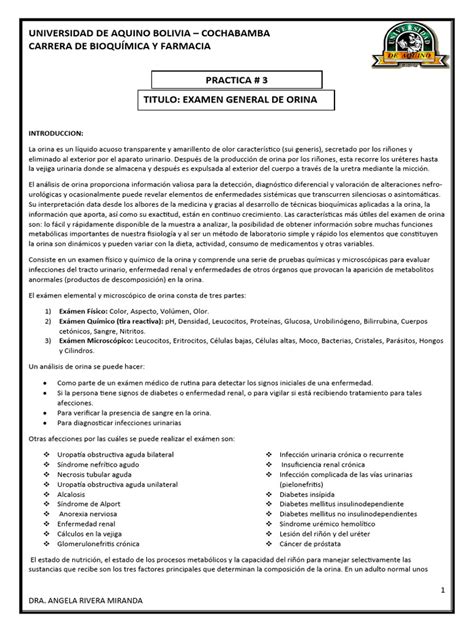 Practica 3 Examen General De Orina Descargar Gratis Pdf Orina Riñón