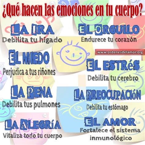 Las Emociones En Tu Cuerpo Dolor Y Emociones Biodescodificacion