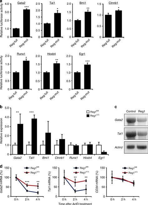 Regnase Mediated Post Transcriptional Regulation Is Essential For