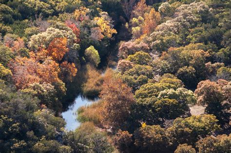 Friends Of San Antonio Natural Areas