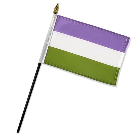 4x6 Genderqueer Pride Flag Pride Basics