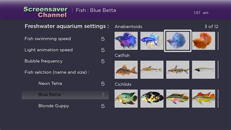 Aquarium Screensaver Channel | TV App | Roku Channel Store | Roku