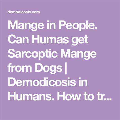 Is Sarcoptic Mange Contagious To Humans