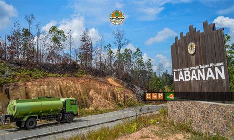 KABAR HUTAN LABANAN AGUSTUS 2023 COP Centre For Orangutan Protection