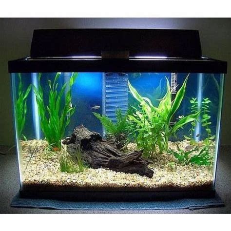 Fish Tanks View Specifications Details Of Fish Tanks By Boyu Redlin