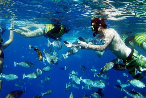 Snorkeling in Hawaii