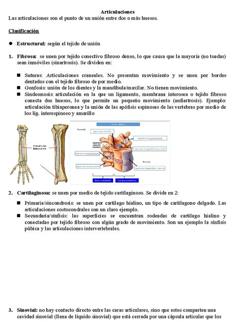 Articulaciones Clasificaci N Estructural Seg N El Tejido De Uni N