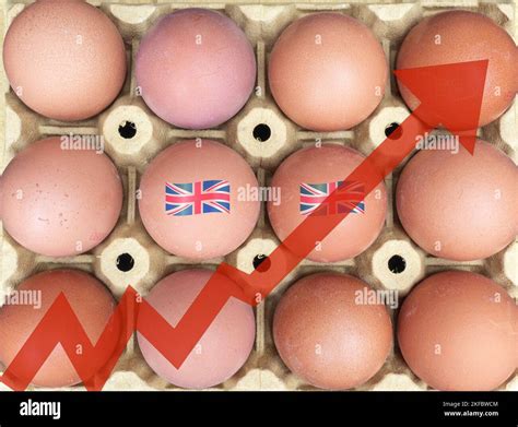 Egg Shortage Rising Egg Prices Inflation Cost Of Living Crisis Bird Flu Avian Fluconcept