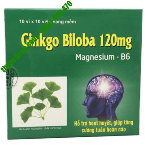 GIÁ GỐC Ginkgo Biloba 120mg Magne B6 hoạt huyết bổ não 100 viên