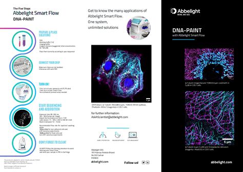 Calam O Dna Paint Easy Brochure