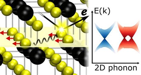 Dominant Two Dimensional Electronphonon Interactions In The Bulk Dirac