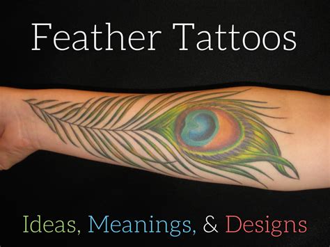 Aggregate More Than Feather Tattoo Sketches Latest Seven Edu Vn