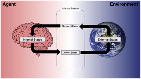 Frontiers The Nature Of Beliefs And Believing