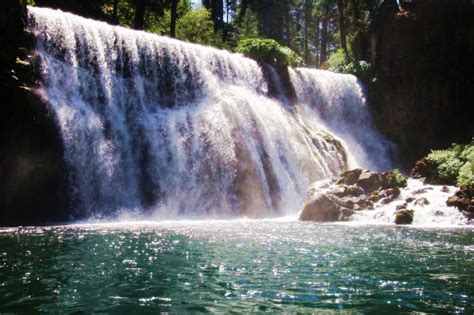 Shasta Trinity National Forest | The Inn At Shasta Lake