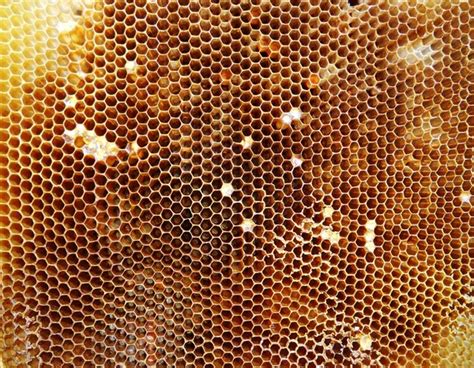 Background Hexagon Texture Wax Honeycomb From A Bee Hive Filled With