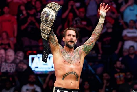 Cm Punk Jade Cargill And More Appear On Aew Fight Forever Cover