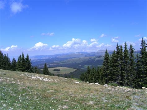 Big Horn Mountains, Wyoming | Wyoming, Favorite places, Favorite vacation