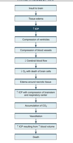 Ch Acute Intracranial Problems Flashcards Quizlet