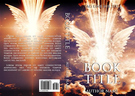 Holy Light Book Cover Mystery Spiritual Fantasy The Book