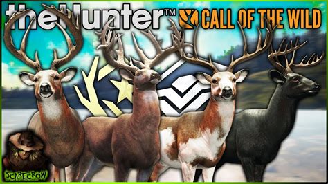 A Great One Super Rare Whitetail WITHOUT Herd Management Call Of The