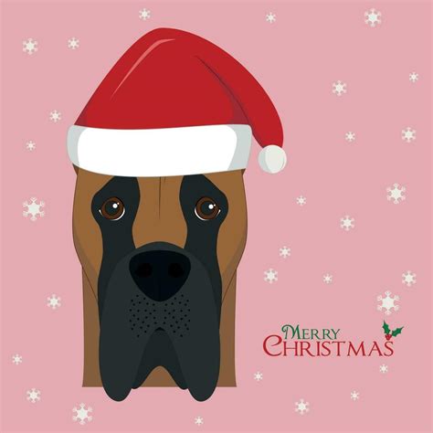 Christmas Greeting Card Great Dane Dog With Red Santas Hat 29607936