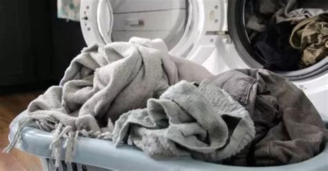 tumble dryer      washing machine