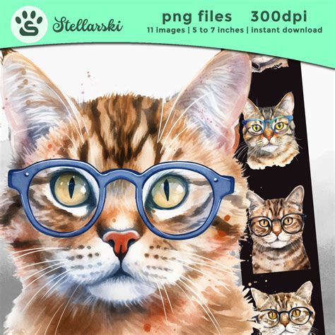 Fluffy Cat in Glasses Clipart PNG, Commercial Use, Watercolor Cats ...