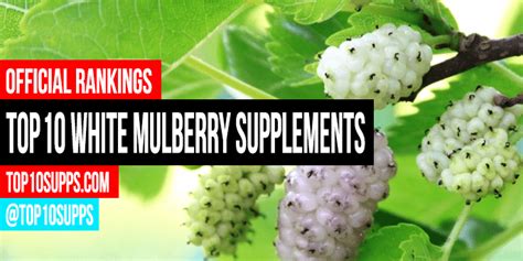 Best White Mulberry Supplements Top 10 Brands For 2023