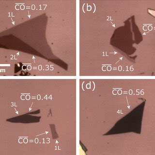 Optical Microscope Images Magnification Of Few Layer Mos Flakes