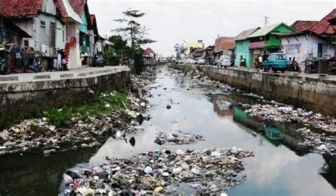 Detail Gambar Sungai Tercemar Koleksi Nomer 4