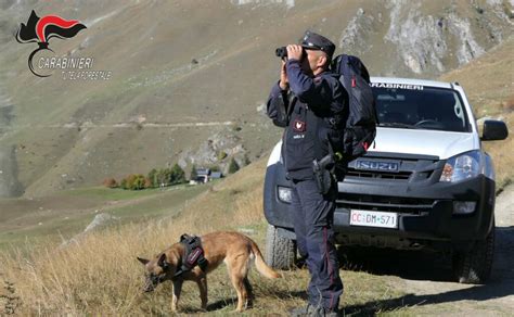 Controlli In Aumento Dei Carabinieri Forestali Operativi In Granda