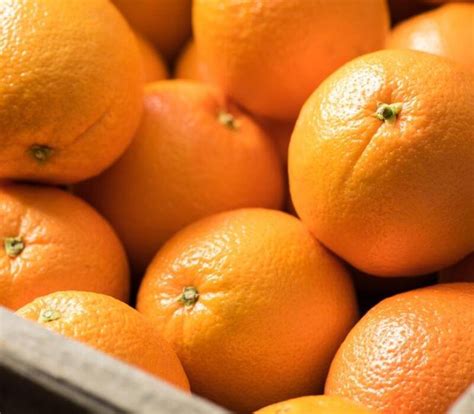 Amazing Health Benefits Of Oranges Eating Every Day