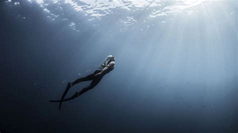 Principios B Sicos Del Traje De Buceo De Apnea Que Debes Conocer Antes