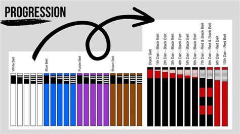 Jiu Jitsu Belts Explained Heavybjj