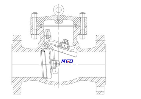 Swing Check Valve Indusrtrial Valve Expert