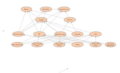 Clone Of Taiga Food Web Insight Maker